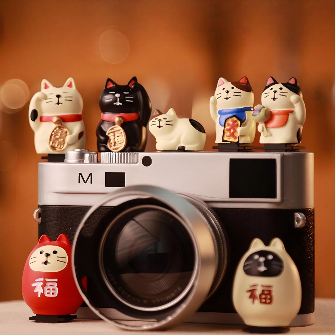 Leuke Katten Universele Hot Sh - Sony Camera Zv-E10 recensie en prijs
