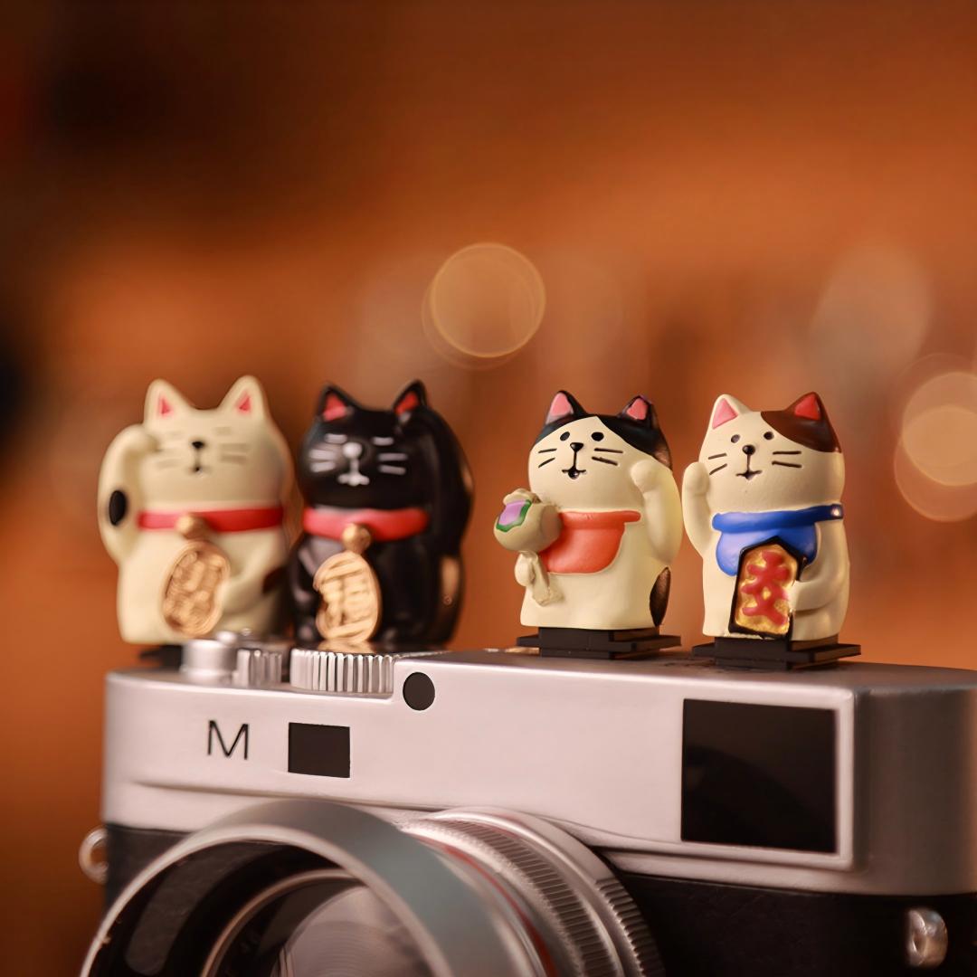 Leuke Katten Universele Hot Sh - Sony Camera Zv-E10 recensie en prijs