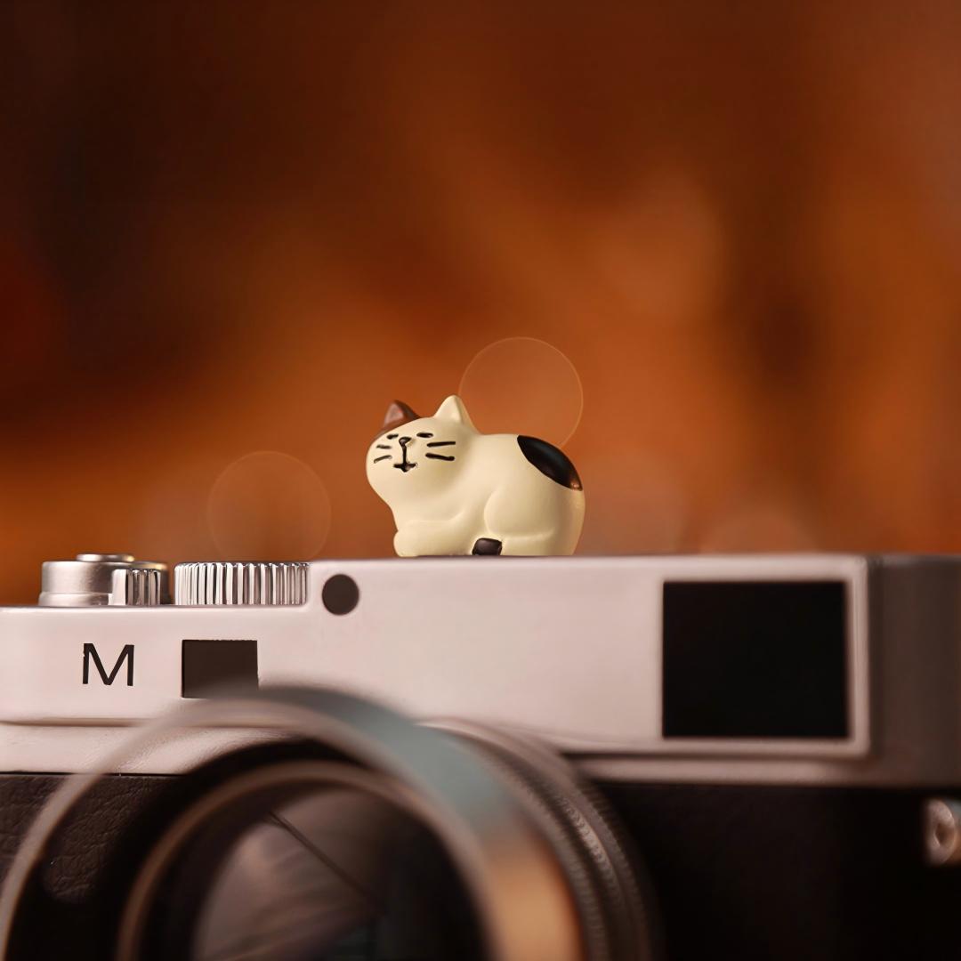 Leuke Katten Universele Hot Sh - Sony Camera Zv-E10 recensie en prijs